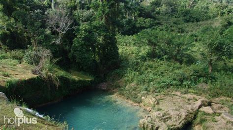 Book Jeep Safari Nature Tour Nicho Cienfuegos” Departure From