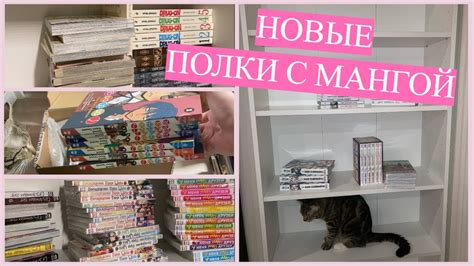 Новый стеллаж 🙌 ПОЛКИ С МАНГОЙ 📚 анхол манги?! - YouTube
