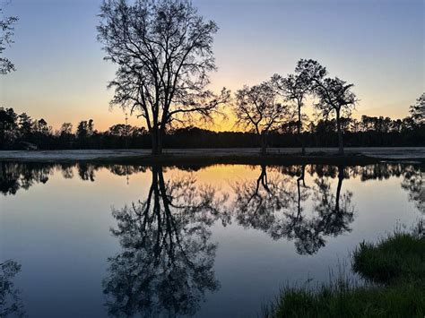 Southern Retreat RV Park - Brunswick, Georgia campgrounds | Good Sam ...