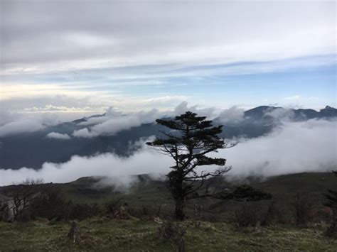 汉源轿顶山游玩攻略简介汉源轿顶山门票地址图片开放时间照片门票价格【携程攻略】