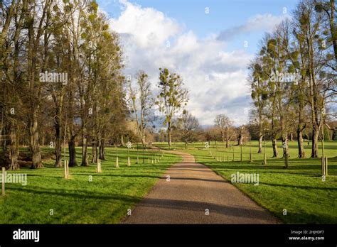 Hatfield park united kingdom Hatfield in daylight on a sunny day Stock ...