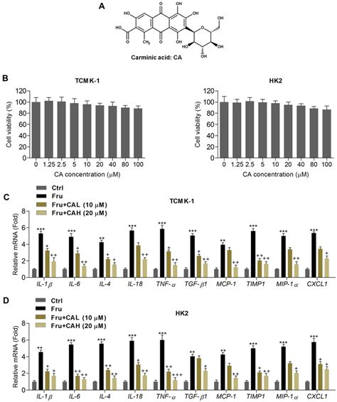 Carminic Acid Reduces Inflammatory Response In Fru Incubated Cells A Download Scientific