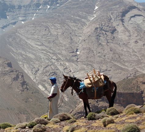 Trekking Mgoun Maroc Trek Ascension Du M Goun Trek M Goun