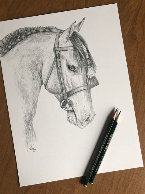 Pencil Drawings Horses