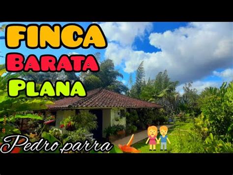 PEDROPARRA GANGAZO FINCA CAMPESTRE DE 1 500 mts cerca cali sobre vías