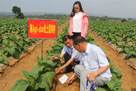 土壤调理与修护工程技术中心助力三夏生产土壤调理土壤改良土壤培肥高标准农田土壤板结土壤修复耕地质量提升土壤调理剂松土促根剂