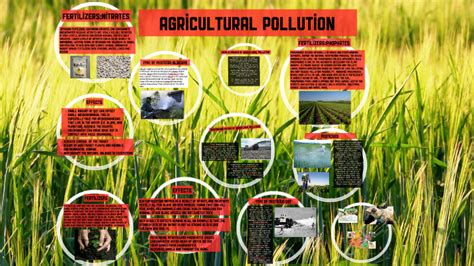 Agricultural Pollution By Timothy Yang On Prezi