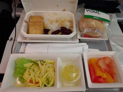 Vegan Meals On All Nippon Airways ANA VeggieBytes