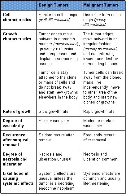 Benign Vs Malignant