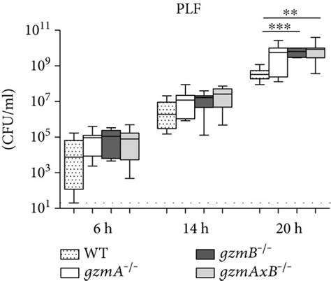 Bacterial Loads In Peritoneal Lavage Fluid PLF Blood Liver And