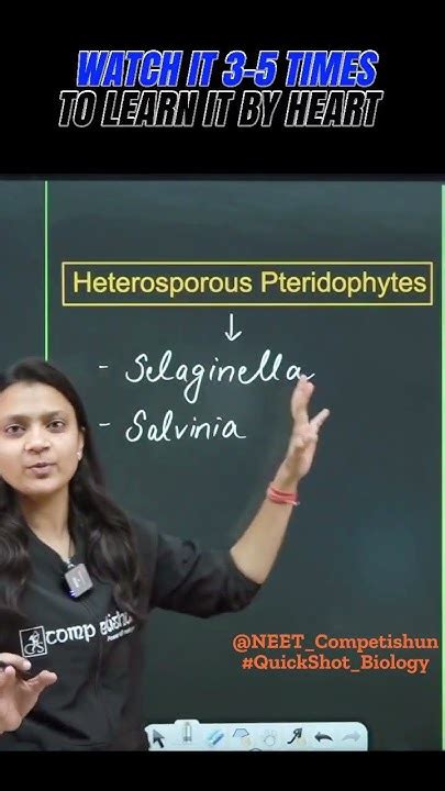 What Are The Examples Of HETEROSPOROUS PTERIDOPHYTES |QuickShot Biology ...