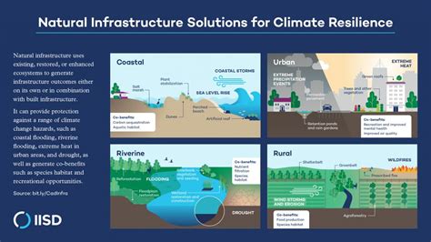 Natural Infrastructure Solutions For Climate Resilience International