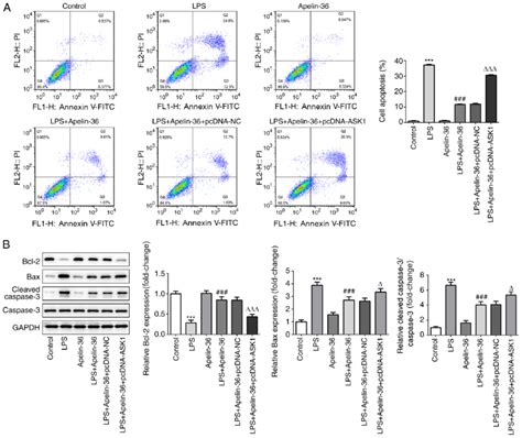 Overexpression Of ASK1 Suppresses The Inhibitory Effect Of Apelin 36 On