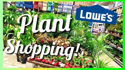 Houseplants 🌿 Lowes Indoor Plant Shopping With Me Green Nursery Plant Tour Plant Tour Youtube