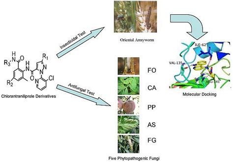 Molecules Free Full Text Synthesis Larvicidal Activities And