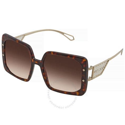 Bvlgari Brown Gradient Square Ladies Sunglasses Bv8254 504 13 55 8056597718738 Sunglasses