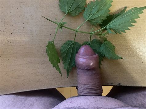 Meine Bilder Nude Pics Xhamster