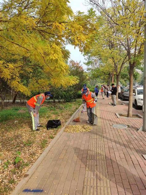 河西区城管委热烈庆祝环卫工人节 城市管理动态 天津市城市管理委员会