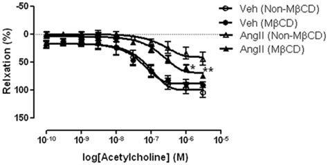 Concentration Response Curve Of Endothelium Dependent Relaxation To