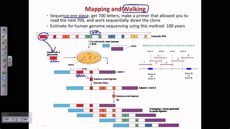 Genome Sequencing Youtube