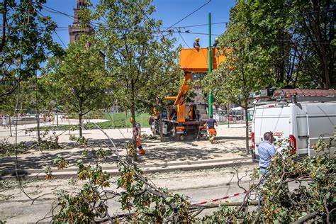 Milano Verde Pubblico Dopo La Tempesta Parchi E Giardini Chiusi