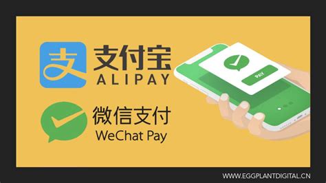 How To Add Alipay Or Wechatpay Onto My Website Eggplant Digital