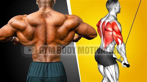 The Most Effective Science Based Back Workout Youtube