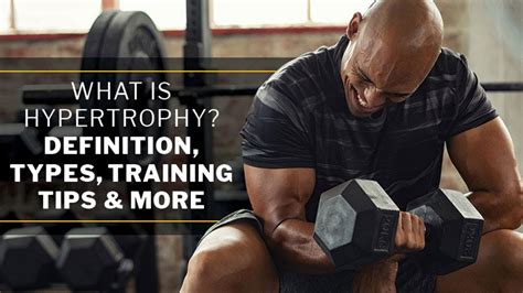 What Is Hypertrophy? Definition, Types, Training Tips & More - YouTube