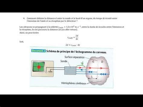 Activité 3 7 sur l échographie Période fréquence longueur d onde