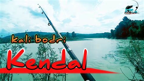 Kali Bodri Kendal Spot Mancing Di Desa Taruman Kab Kendal YouTube