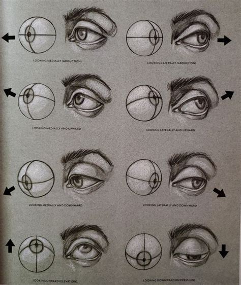 Pin by Наталья on рисуем человека in 2023 | Portraiture drawing, Art ...