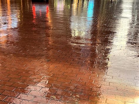 Pavimento Mojado Bajo La Lluvia Luz De La Tarde Desenfoque En El Fondo