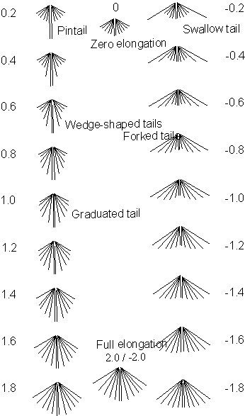 Bird Tail Shapes