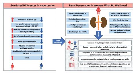 An Illustration That Summarizes Sex Related Differences In Hypertension