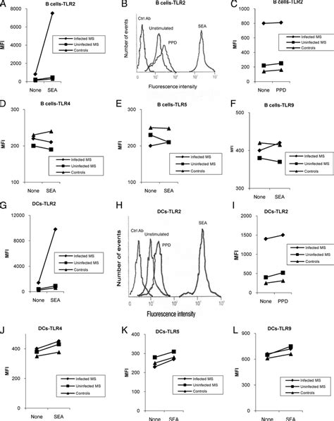 Sea Up Regulated Tlr2 Expression On B Cells And Dcs From Download