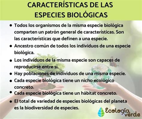 Bases Biol Gicas Del Ser Humano Alexandra Udocz