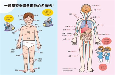 出發吧！人體探險隊 揭開身體消化道、泌尿系統、骨骼肌肉、心臟血管不可思議的祕密讀書共和國網路書店