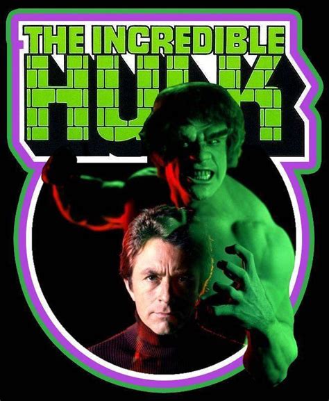 The Incredible Hulk '70s TV Show Retro Style T-shirt Small to 3XL - Etsy