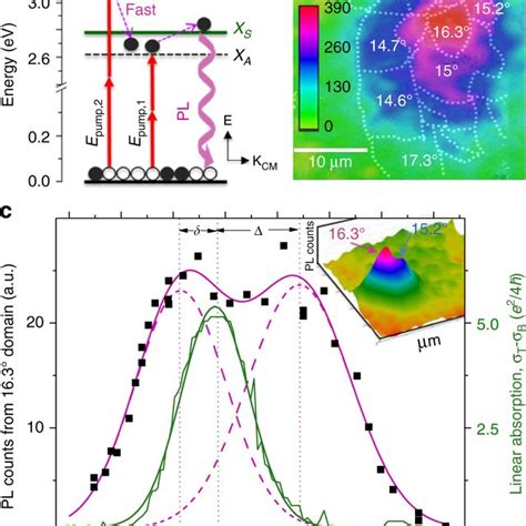 Interlayer Exciton Binding Energy And Ple Spectra A Exciton Model Download Scientific Diagram