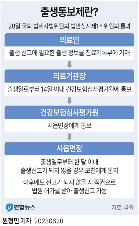 그래픽 출생통보제란 연합뉴스