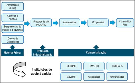 Cadeia Produtiva Do Mel Da ACAFPA Fonte Pesquisa De Campo 2012