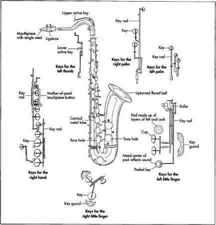 Saxophone Parts