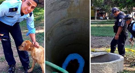 Trujillo Rescatan A Perrito Que Cayó A Un Pozo De 12 Metros De