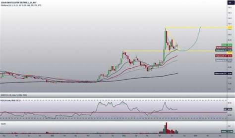 Zedur Hisse Senedi Teknik Analiz Yorum Ve Veriler