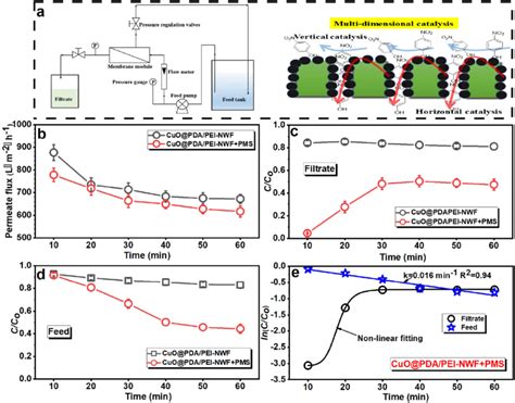 A Schematic Illustration Of The Multi Dimensional Catalysis Of 4 Np