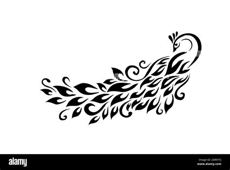 Graphic Monochrome Peacock Vector Illustration Stock Vector Image