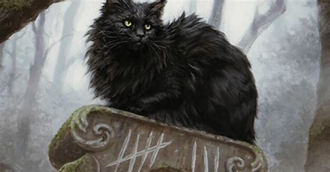 Mtg Commanders Foundations Quiz By Mrkeithguy