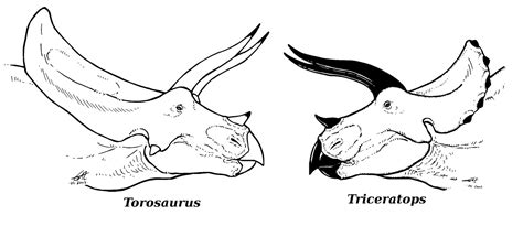 Torosaurus - Prehistorica Wiki