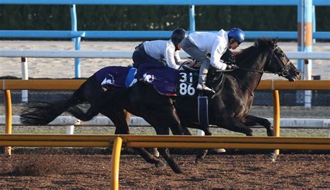 【東スポ杯2歳s】クロワデュノール 6f85秒5も陣営はトーン控えめ「前の方が迫力があった」 スポニチ競馬web