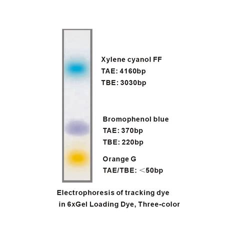 Colorant De Chargement De Gel Lectrophor Se De Ladn Three Color